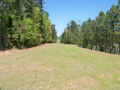 course patriots park disc golf